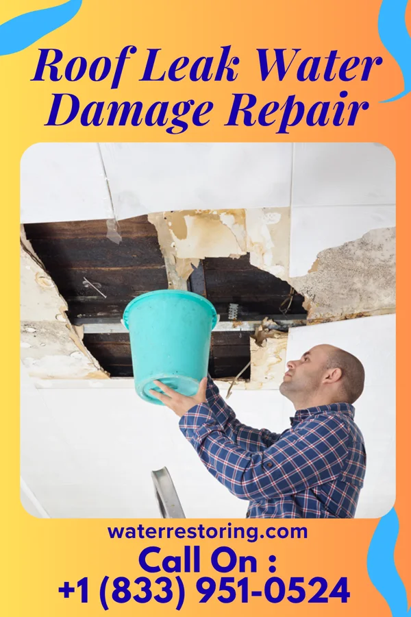 Roof Leak Water Damage Repair in Oldenburg, IN